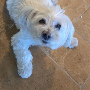 Meet your Posher, Shweta